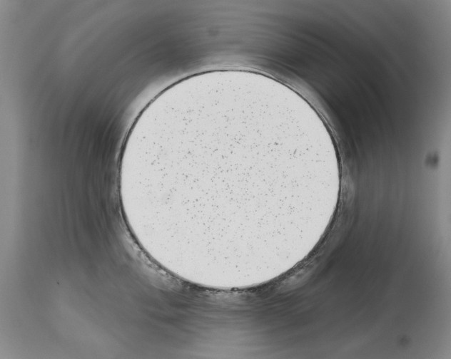 X0000113941004200911061237