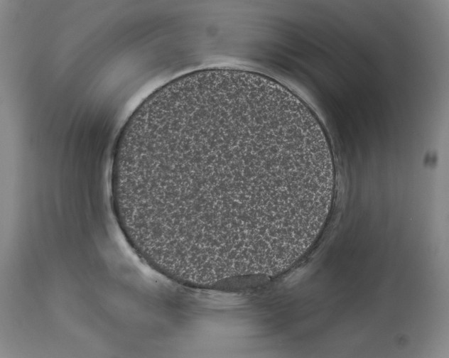 X0000113941007200911061237