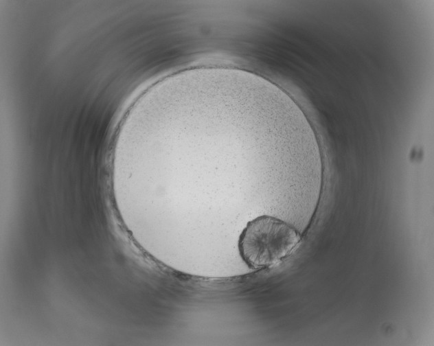X0000113941008200911061237