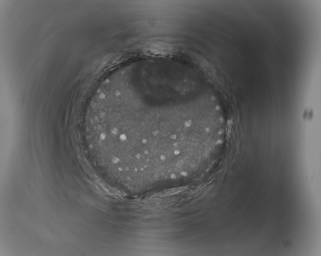 X0000113941009200911061236