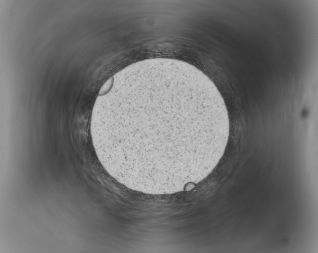 X0000113941010200911061236