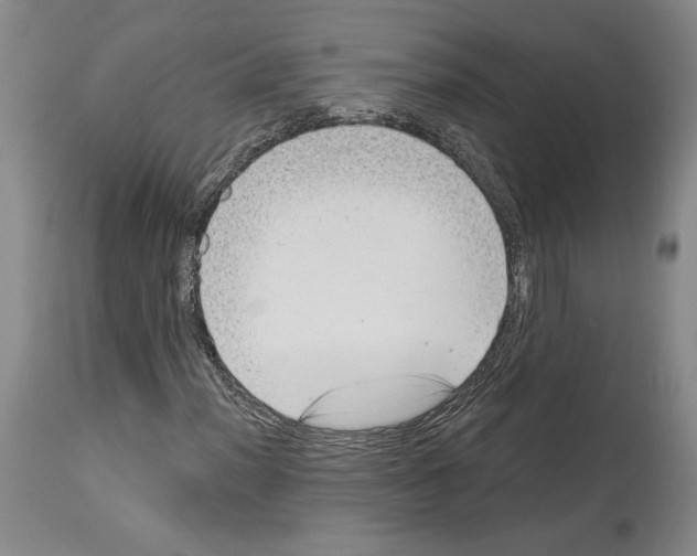 X0000113941012200911061236