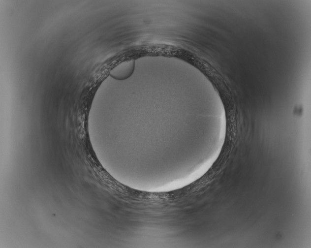 X0000113941013200911061236