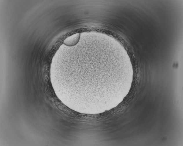 X0000113941016200911061236