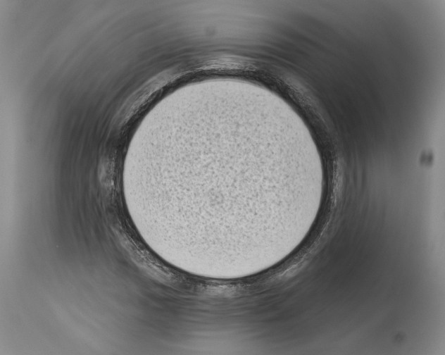 X0000113941017200911061236