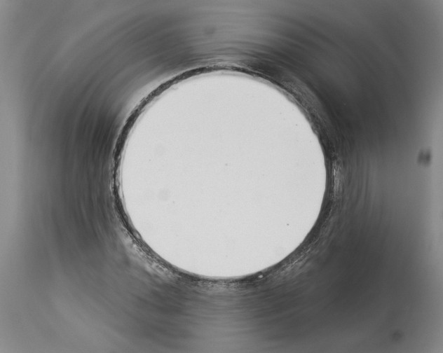 X0000113941020200911061236