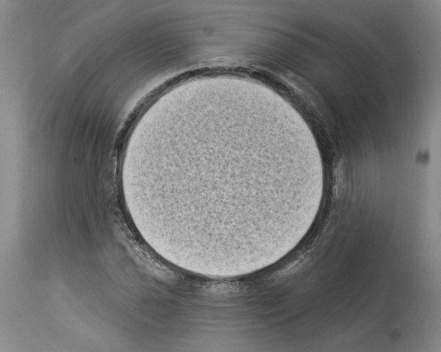 X0000113941021200911061236