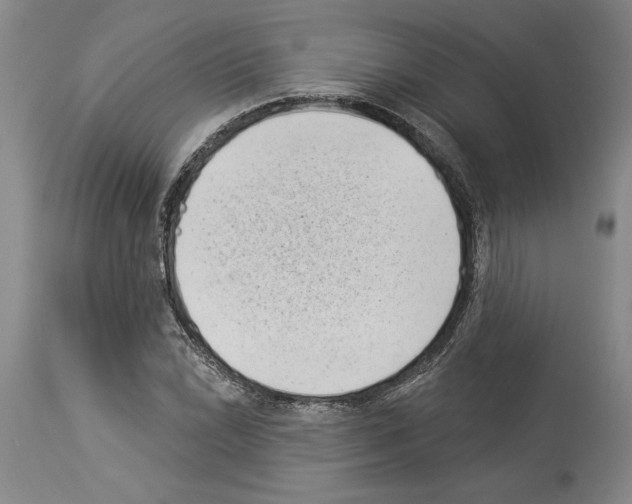 X0000113941022200911061236