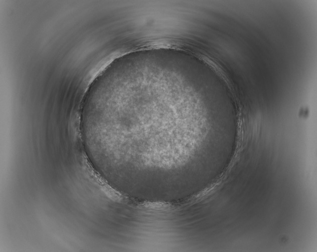 X0000113941023200911061236