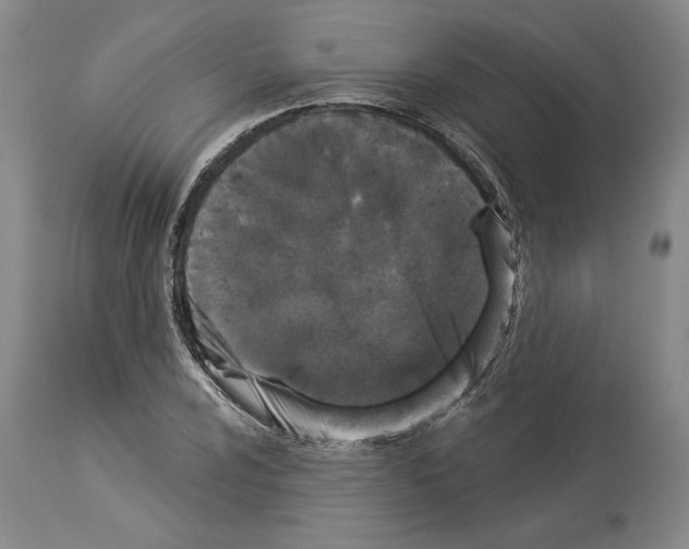 X0000113941024200911061236