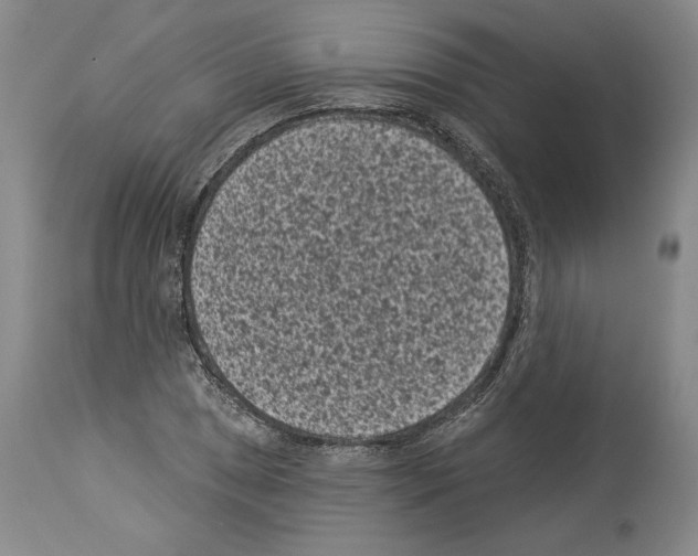 X0000113941025200911061236