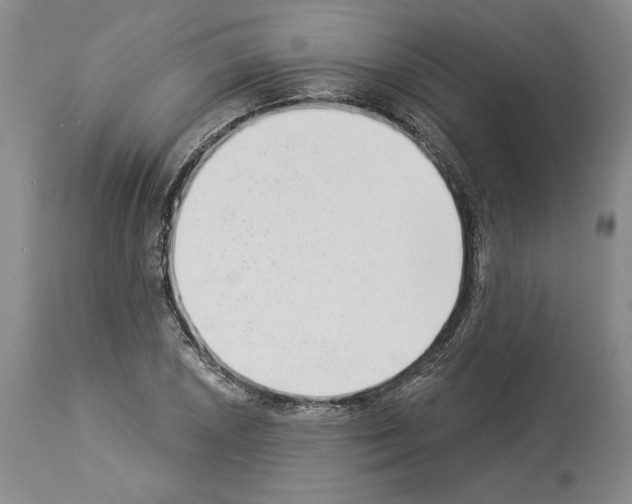 X0000113941026200911061236