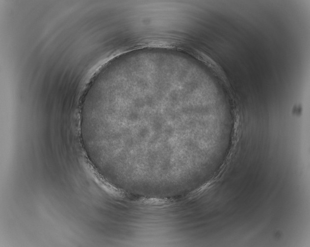 X0000113941027200911061236