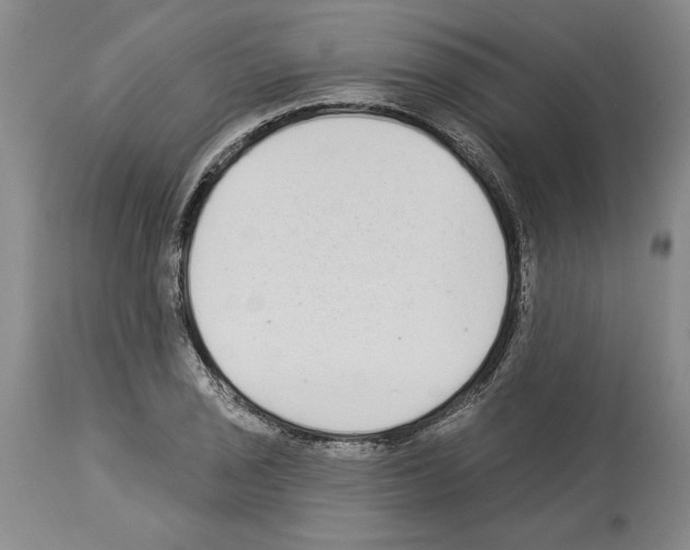 X0000113941029200911061236