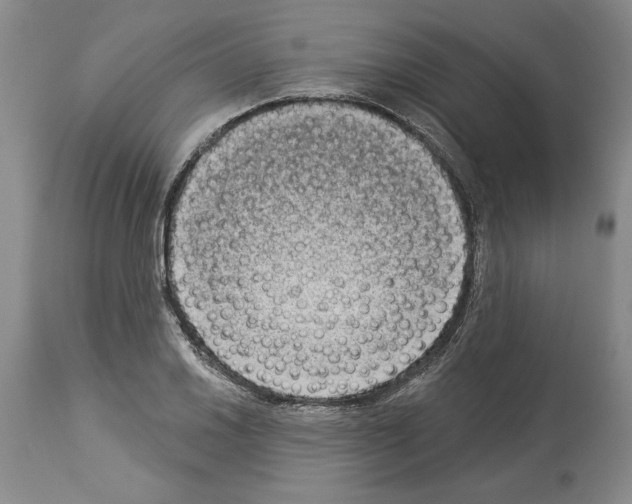 X0000113941030200911061236