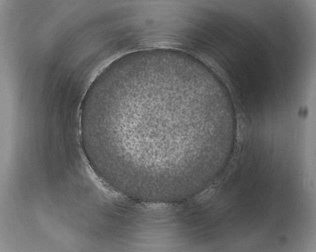 X0000113941031200911061236