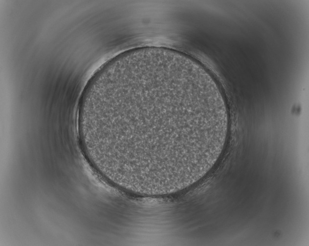 X0000113941032200911061236