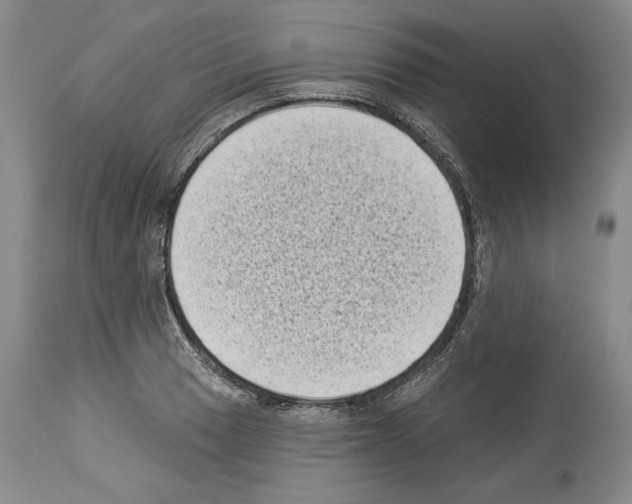 X0000113941033200911061236