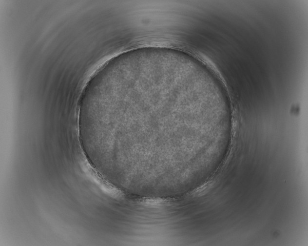 X0000113941035200911061236