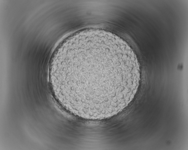 X0000113941036200911061236