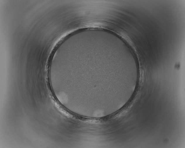X0000113941037200911061236