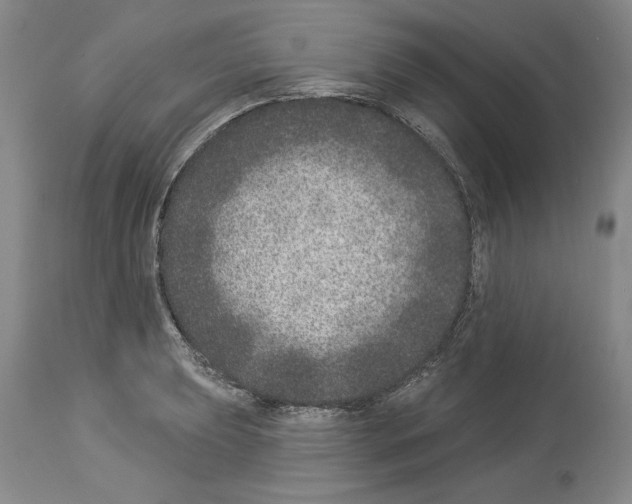 X0000113941039200911061236