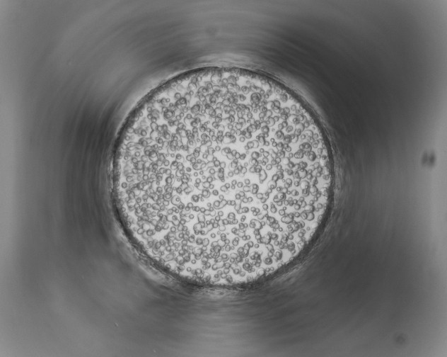 X0000113941040200911061236
