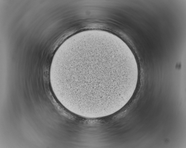 X0000113941041200911061236