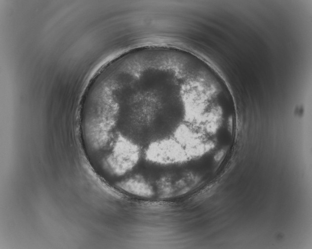 X0000113941045200911061236