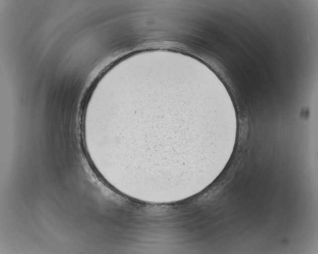 X0000113941046200911061236