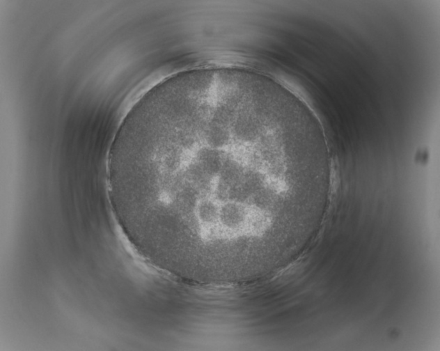 X0000113941047200911061237