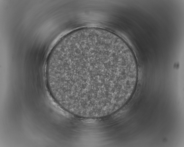X0000113941048200911061237