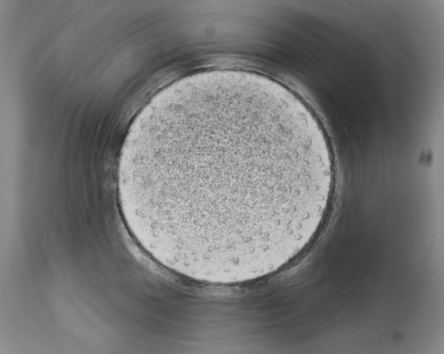 X0000113941049200911061237