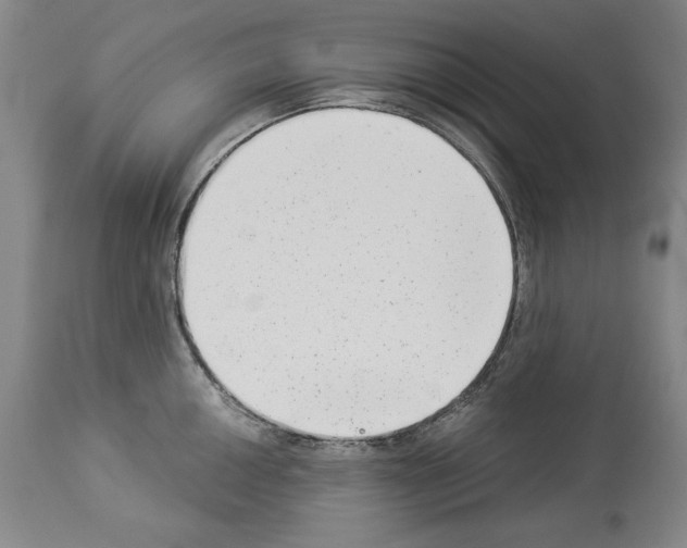 X0000113941050200911061237