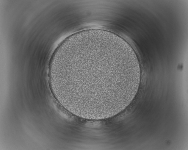 X0000113941051200911061237