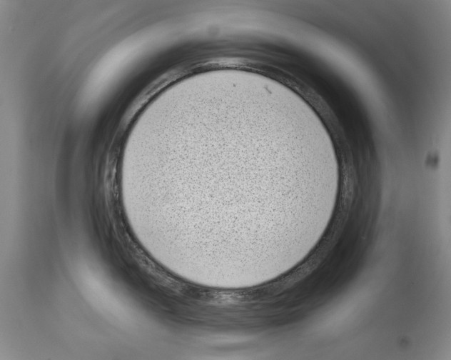 X0000113941052200911061237