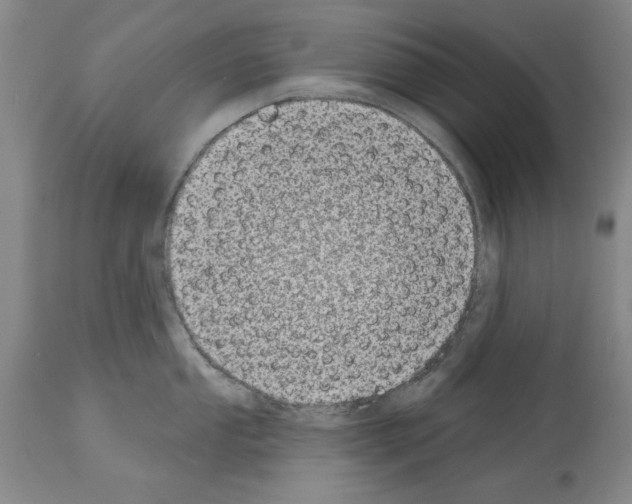 X0000113941053200911061237