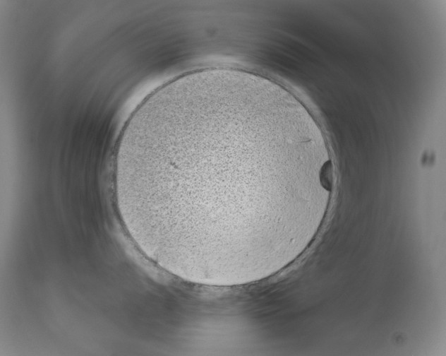 X0000113941056200911061237