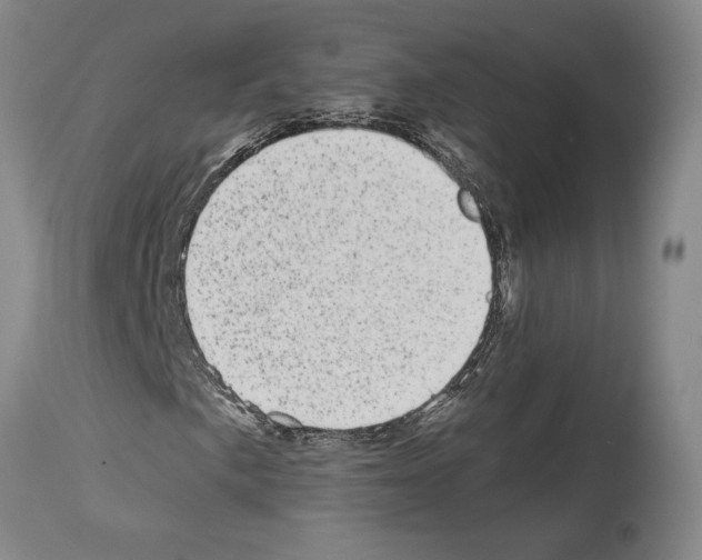 X0000113941057200911061236