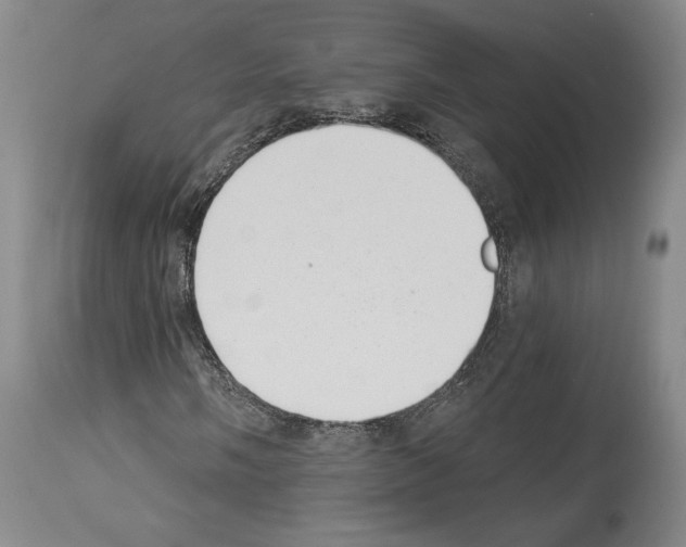 X0000113941058200911061236
