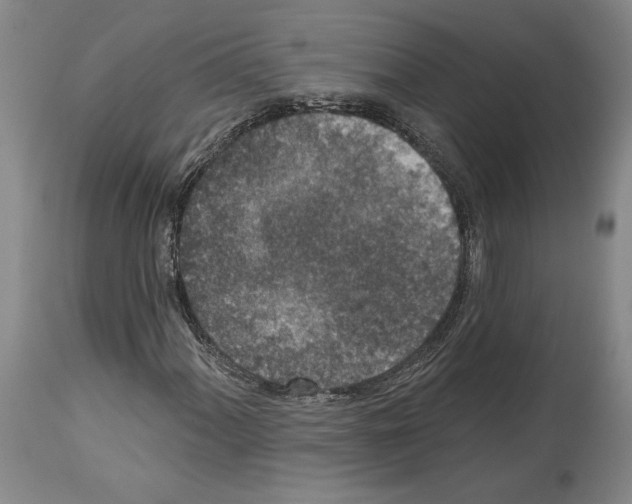 X0000113941060200911061236