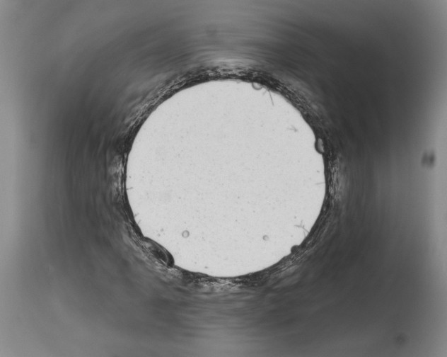 X0000113941061200911061236