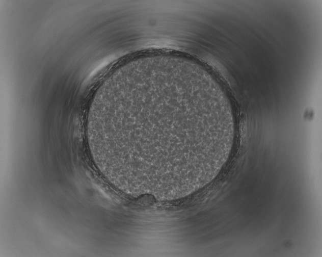 X0000113941064200911061236