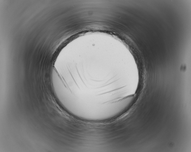 X0000113941065200911061236