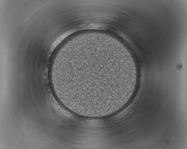 X0000113941066200911061236