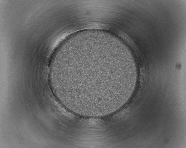 X0000113941067200911061236
