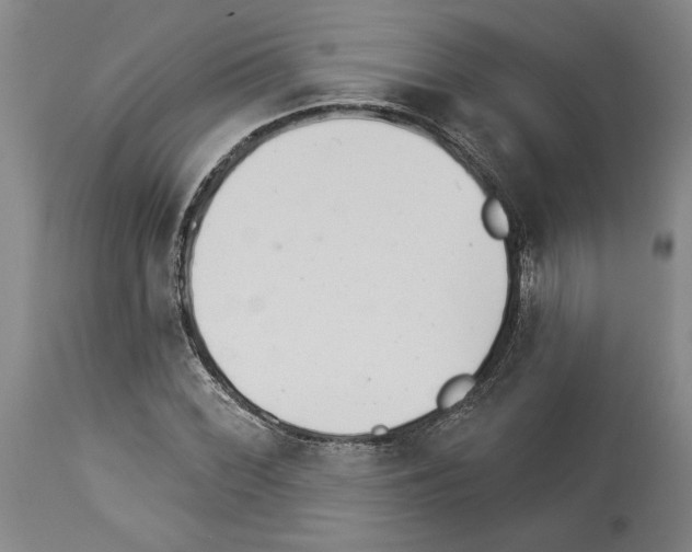 X0000113941068200911061236