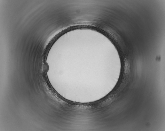 X0000113941069200911061236