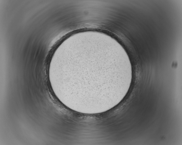 X0000113941070200911061236