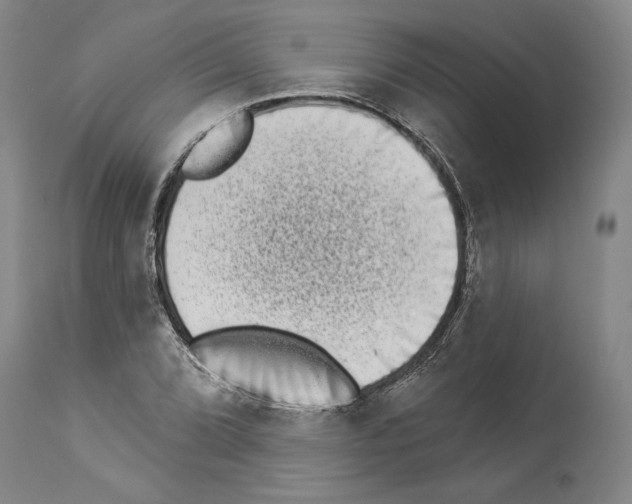 X0000113941072200911061236